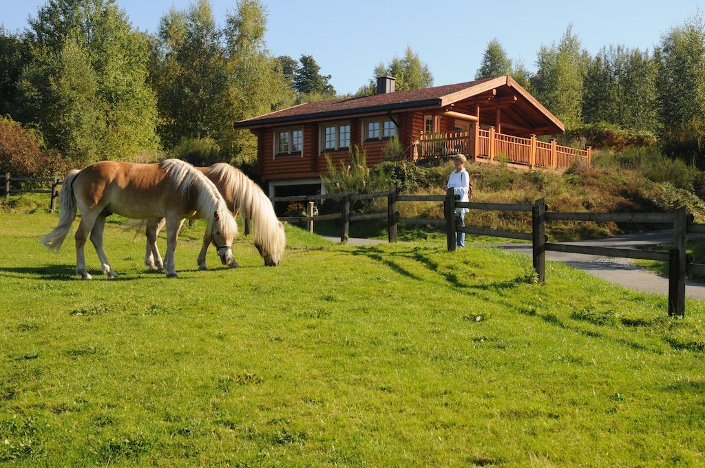 Hotelanlage Country Lodge Arnsberg Dış mekan fotoğraf