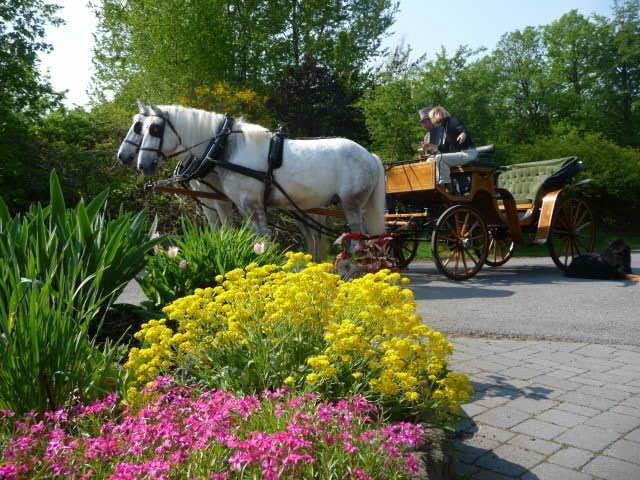 Hotelanlage Country Lodge Arnsberg Dış mekan fotoğraf